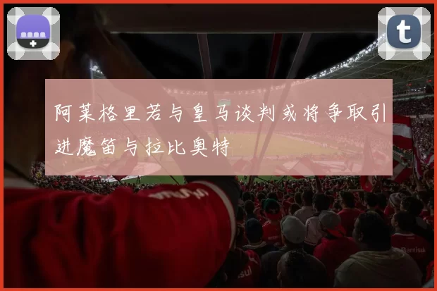 阿莱格里若与皇马谈判或将争取引进魔笛与拉比奥特